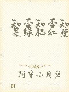 知否知否知否应是绿肥红瘦是哪个朝代