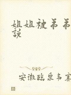 姐姐被弟弟干小说