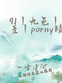 91丨九色丨国产丨porny精品