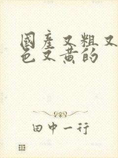 国产又粗又猛又色又黄的