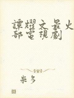 谭耀文最火的5部电视剧