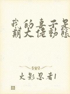 我的妻子是大乘期大佬动态漫画免费阅读