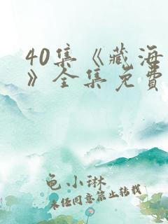 40集《藏海传》全集免费播放