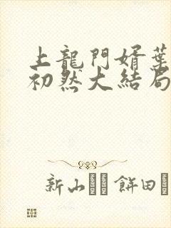 上龙门婿叶辰萧初然大结局