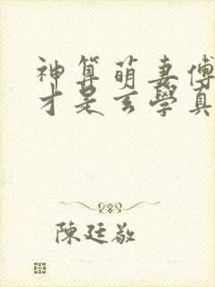 神算萌妻傅太太才是玄学真大佬主角