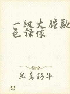 一级大胆欧美黄色录像