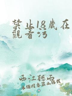 禁止18岁在线观看污