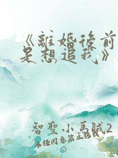 《离婚后前夫总是想追我》