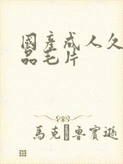 国产成人久久精品毛片