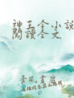 神王令小说免费阅读全文