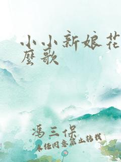 小小新娘花是什么歌