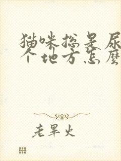 猫咪总是尿在一个地方怎么办