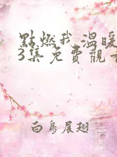 点燃我温暖你13集免费观看