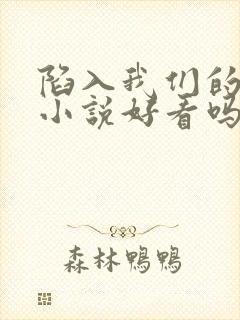 陷入我们的热恋小说好看吗