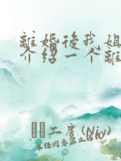 离婚后我姐给我介绍一个离婚带儿子的女人