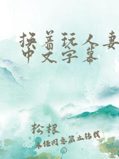 换着玩人妻hd中文字幕