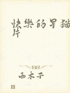 快乐的星猫动画片