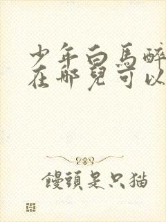 少年白马醉春风在哪儿可以看