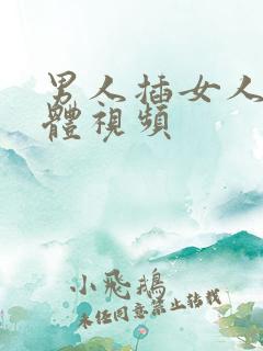 男人插女人的下体视频