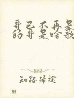 哥已不再是当年的哥是啥歌