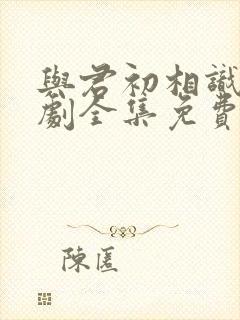 与君初相识电视剧全集免费观看