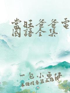 当旺爸爸电视剧国语全集