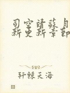 司空靖苏月汐最新更新章节列表