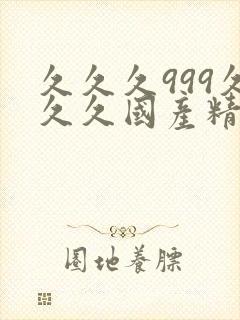 久久久999久久久国产精品