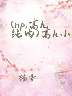 (np,高h,纯肉)高h小说