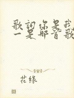 歌词你是我的唯一是哪首歌的歌词