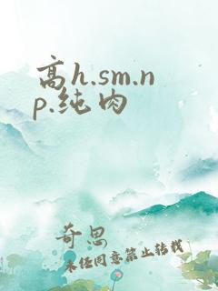 高h.sm.np.纯肉