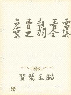 免费观看电视剧云之羽全集在线观看