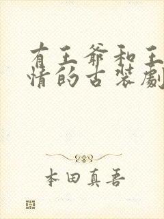 有王爷和王妃爱情的古装剧