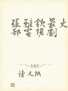 张雅钦最火的5部电视剧