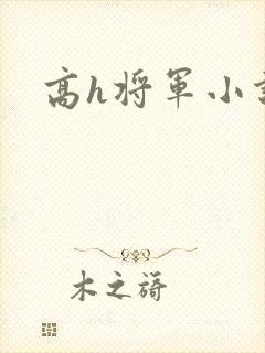 高h将军小说