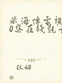 藏海传电视剧40集在线观看