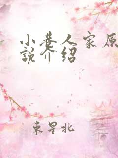 小巷人家原著小说介绍