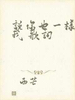 说你也一样爱着我 歌词