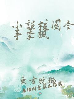 小说校园全能高手季枫