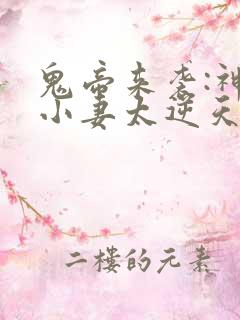 鬼帝来袭:神棍小妻太逆天