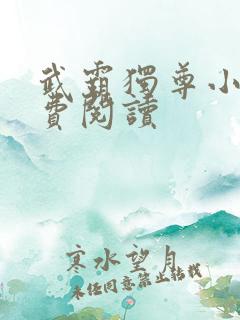 武霸独尊小说免费阅读