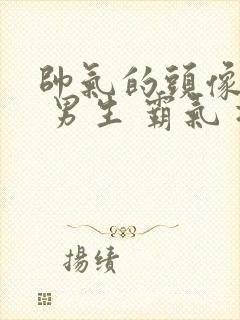 帅气的头像动漫 男生 霸气 冷酷