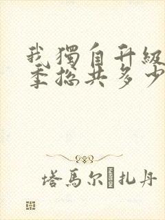 我独自升级第二季总共多少集