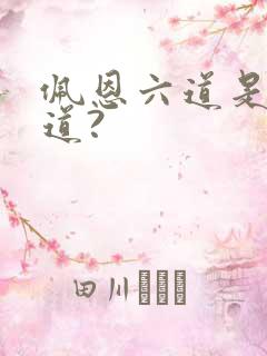 佩恩六道是哪六道?