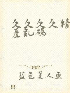 久久久久精品国产乱码