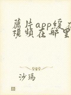 荐片app缓存视频在哪里