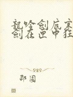 龙吟剑底寒潭澈剑在匣中狂歌