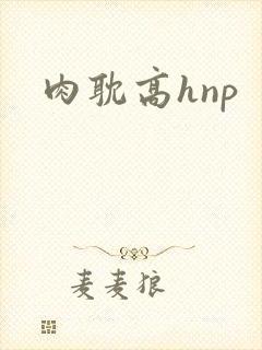 肉耽高hnp