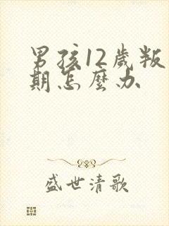 男孩12岁叛逆期怎么办