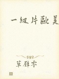 一级片欧美久久